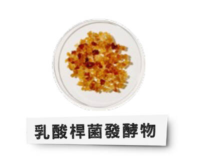乳酸桿菌發酵物