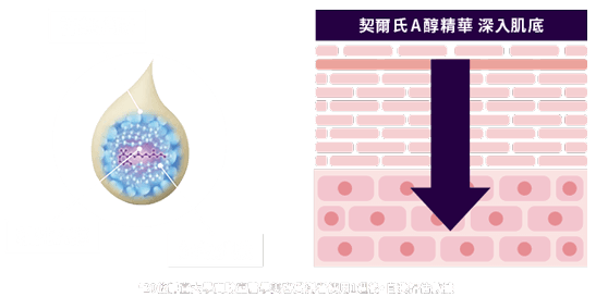 神經醯胺 精純A醇 超級胜肽